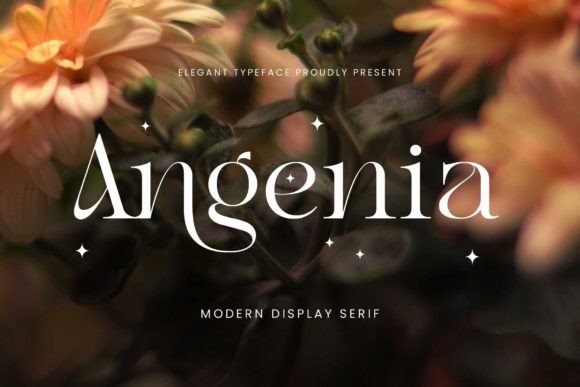 Angenia Font Review