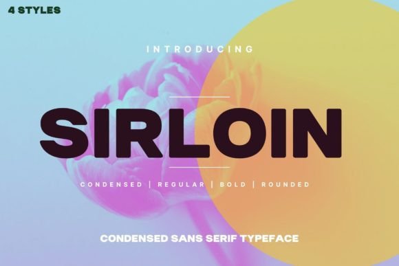 Sirloin Font Review