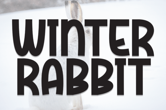Winter Rabbit Font for Bold Branding